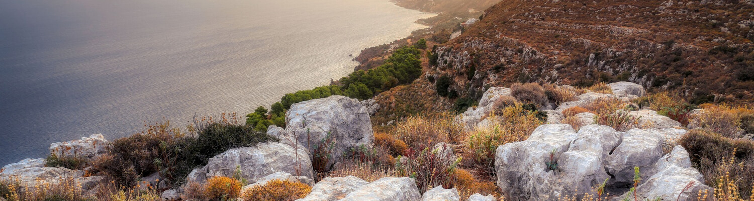 Panorama de l’habitat d’une tortue Boettgeri